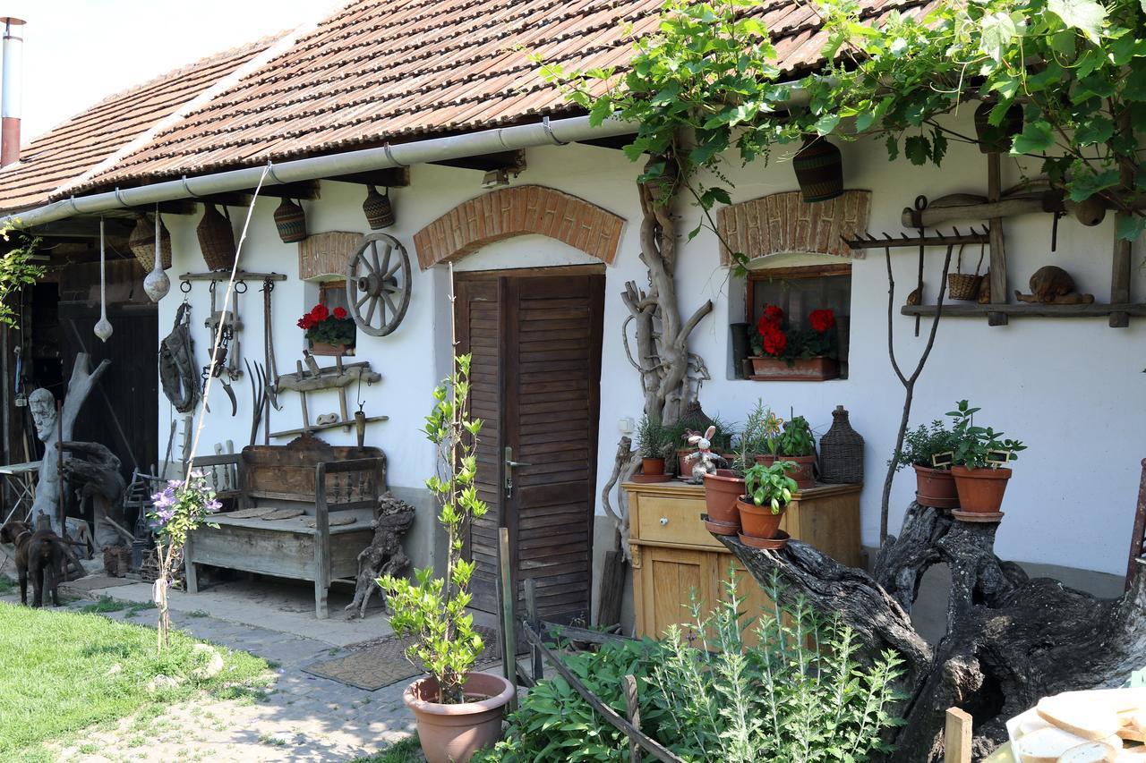 Pataky Borporta Bed & Breakfast Tarcal Exterior photo