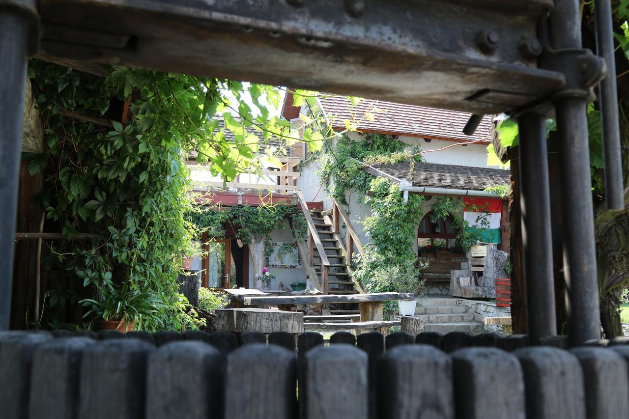 Pataky Borporta Bed & Breakfast Tarcal Exterior photo